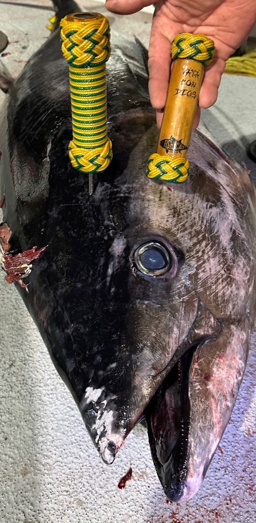 Calcutta Tuna Spikes Fishscale Gaff Co.